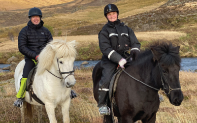 Hraðastaðir Animal Farm and Horse Riding