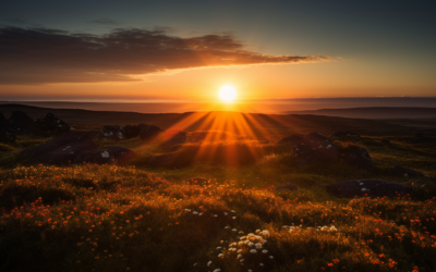 Embracing the Magic: Exploring Iceland’s Midnight Sun